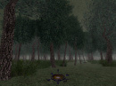 Judith01_t3edforest1qu.jpg