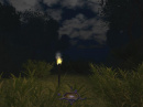 Judith02_forest road.jpg