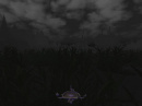 Judith06_swamp.jpg